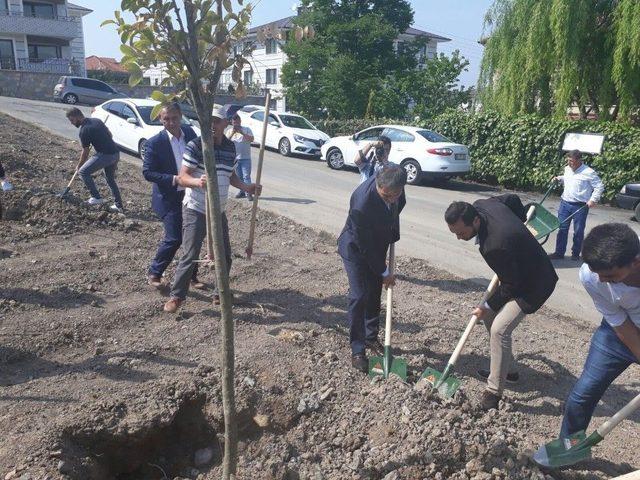 Serdivan’da Fidanlar Toprakla Buluştu