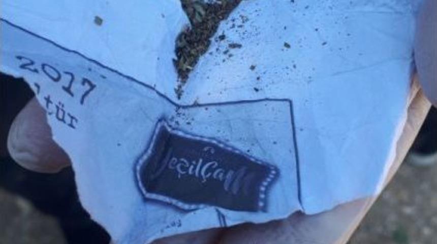 &Uuml;zerinden Bonzai &Ccedil;ıkan Şahıs Tutuklandı