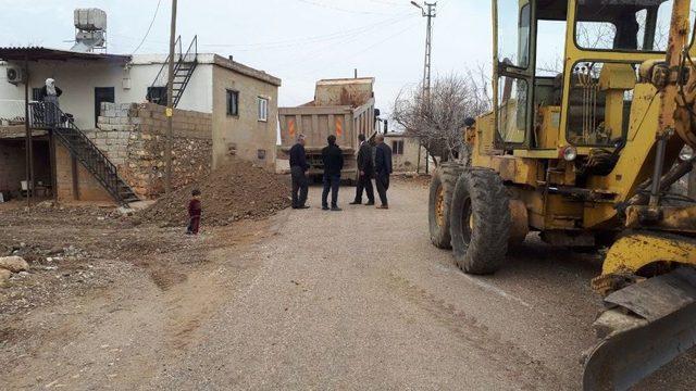 Başkan Erdoğan Köy Ve Mezralarda İncelemelerde Bulundu