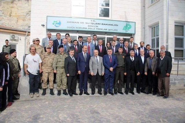 Bereketin Sembolü Kelaynak Kuşları Doğaya Bırakıldı