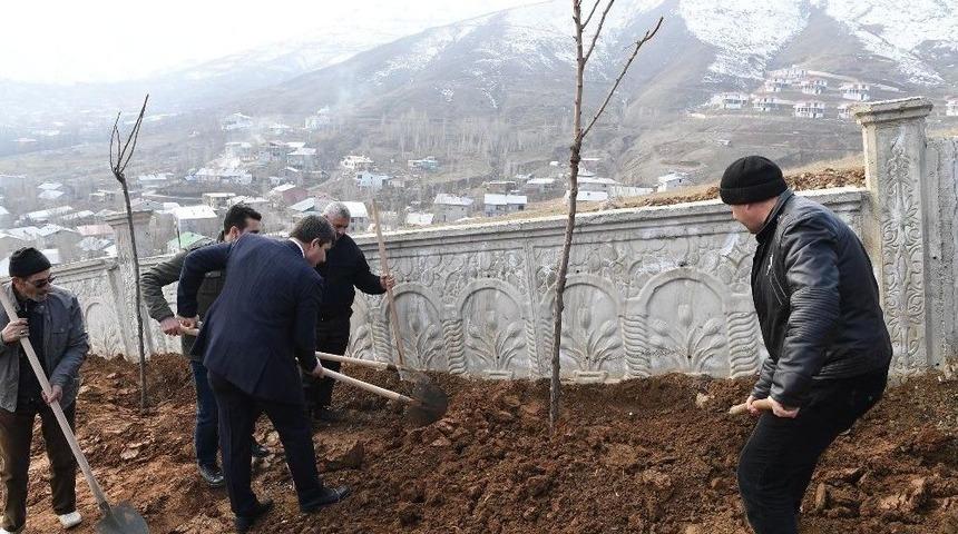 Muş&rsquo;ta Mezarlık &Ccedil;evresinde Yeşillendirme &Ccedil;alışması