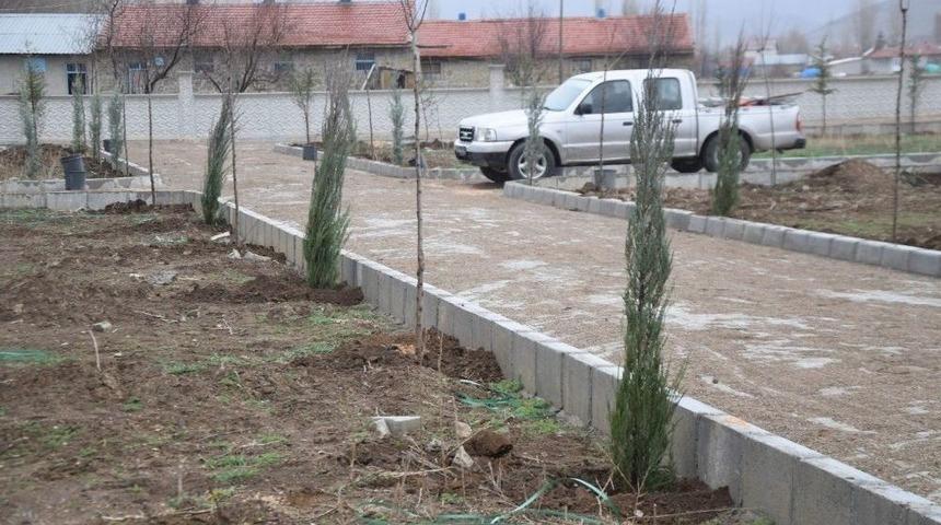 Şuhat&rsquo;ta Asri Mezarlığa 300 Adet Fidan Dikildi