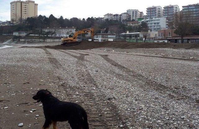 Ak&ccedil;akoca Değirmen Ağzı Plajında Kum D&uuml;zenleme &Ccedil;alışması Yapıldı 1