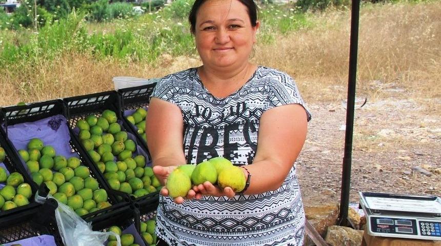 Manisa İnciri Tezgahlardaki Yerini Aldı