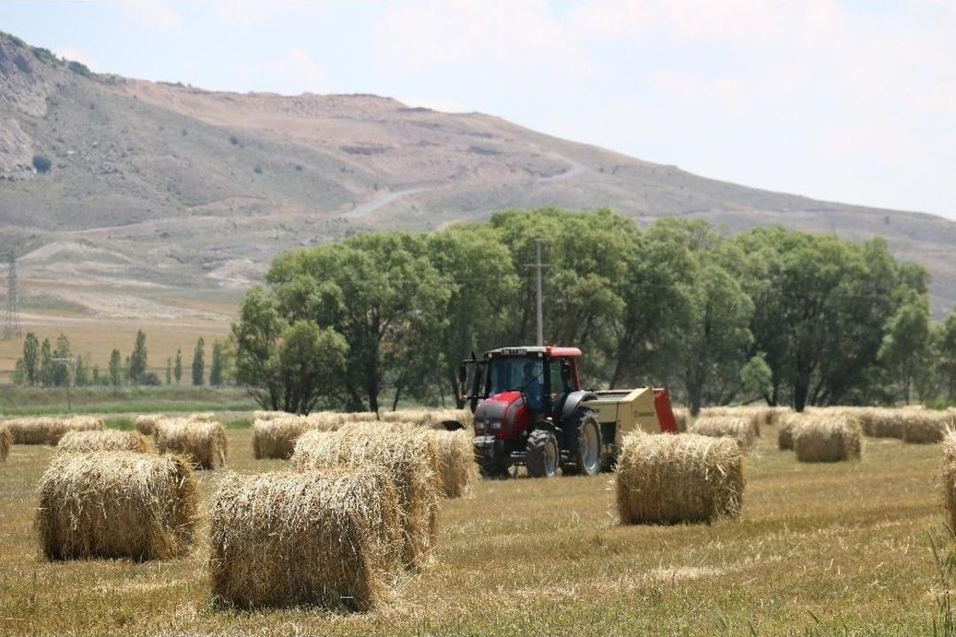 Fiğ Balyalarının İlgin&ccedil; G&ouml;r&uuml;nt&uuml;s&uuml;