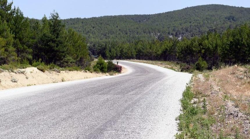 B&uuml;y&uuml;kşehir Yolu Olmayan K&ouml;y Bıramıyor