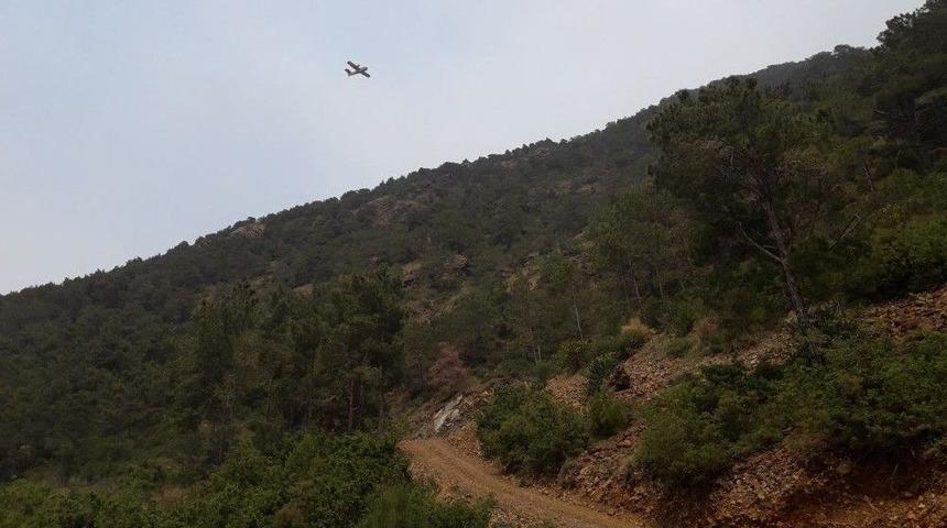 Hatay&rsquo;da Orman Yangını S&ouml;nd&uuml;rme &Ccedil;alışmaları 4 G&uuml;nd&uuml;r S&uuml;r&uuml;yor