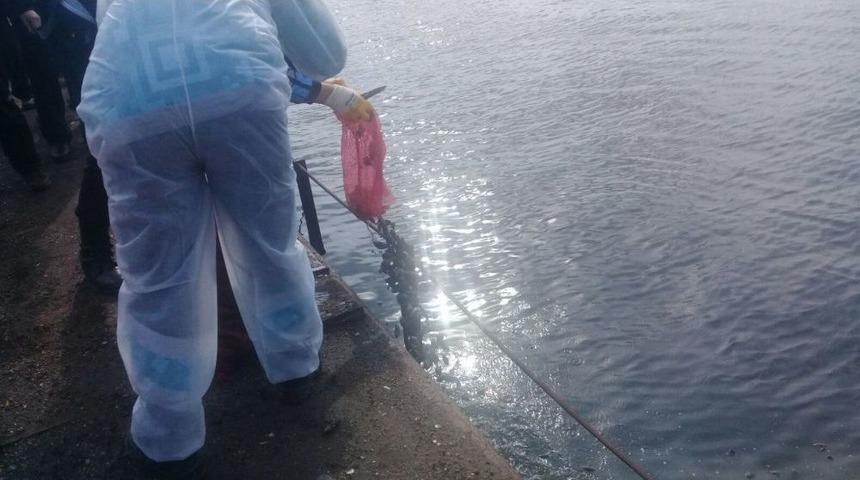 Beyoğlu&rsquo;nda Ka&ccedil;ak Midye Operasyonu