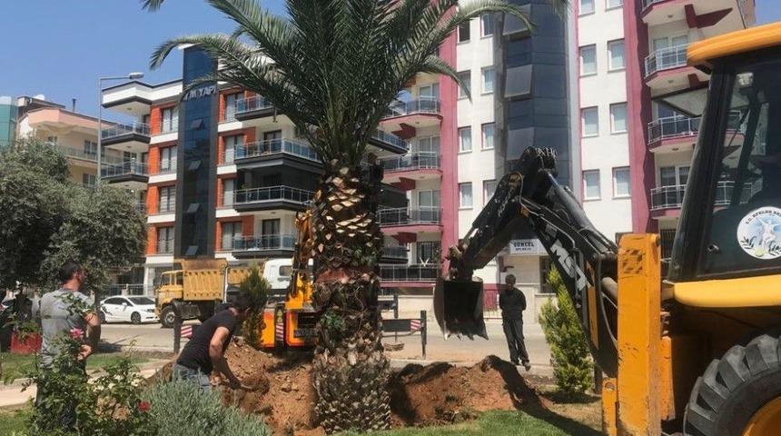 Ptt Başm&uuml;d&uuml;rl&uuml;ğ&uuml;n&uuml;n Talebini Ger&ccedil;ekleştirdi