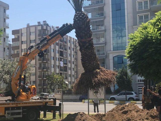 Ptt Başmüdürlüğünün Talebini Gerçekleştirdi