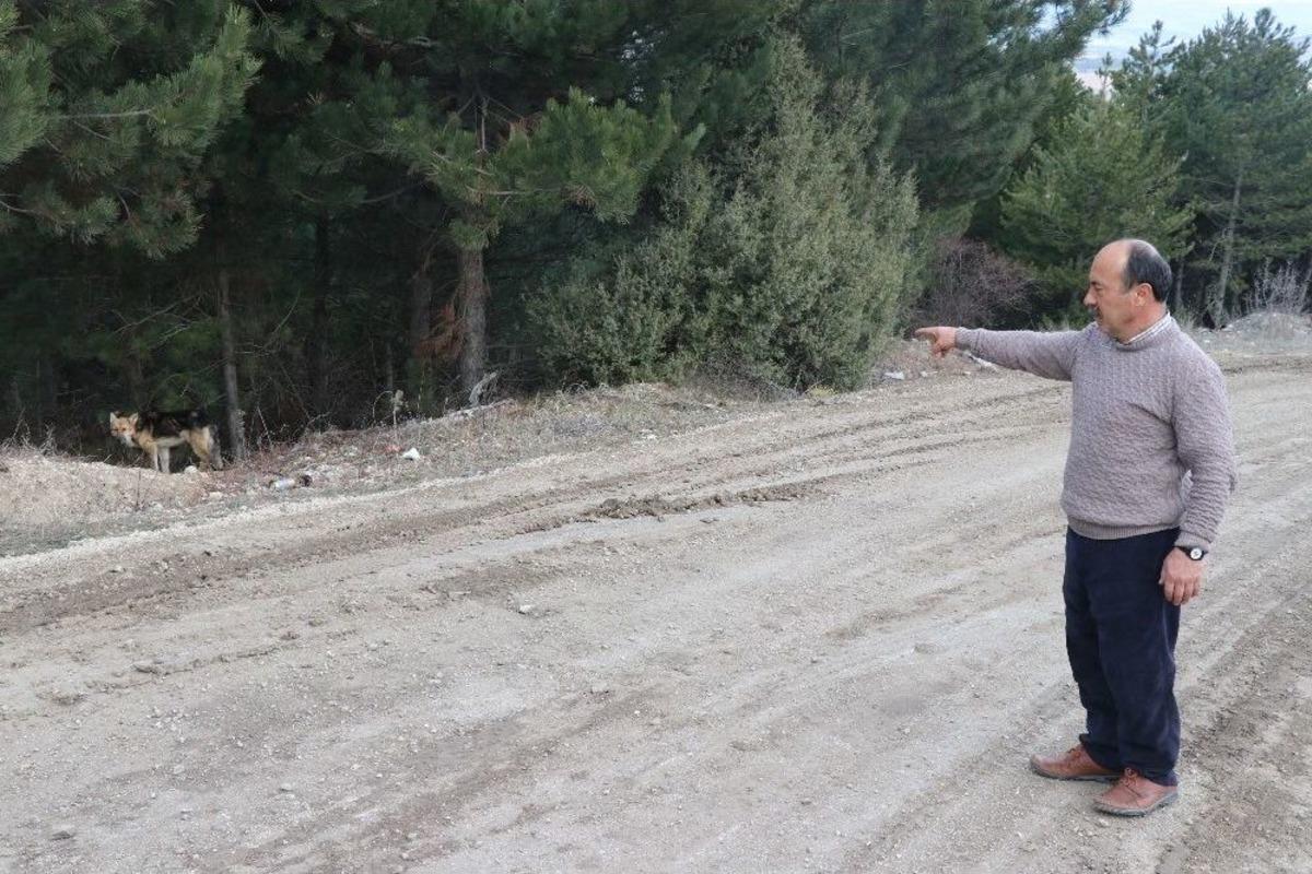 K&ouml;ye Bırakılan Onlarca K&ouml;pek Vatandaşların Korkulu R&uuml;yası Oldu