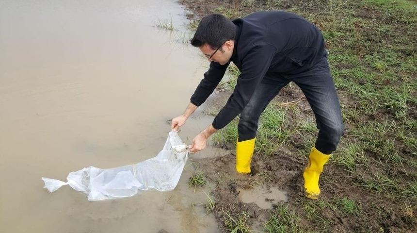 G&ouml;llere 80 Bin Yavru Balık Bırakıldı