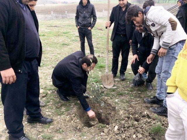 Öğrencilerden Zeytin Dalı Harekatına Destek