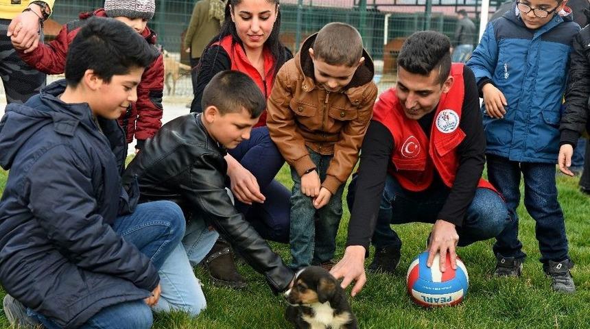Hayvan Barınağındaki Yavru K&ouml;pekler İlgi Odağı Oldu