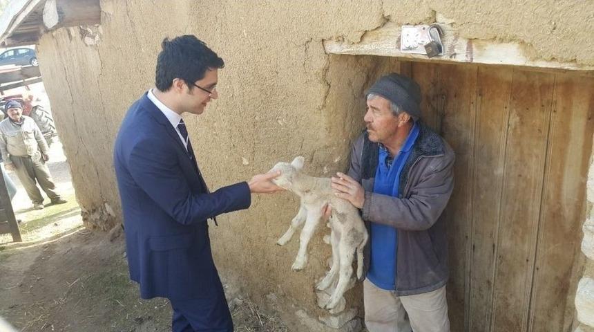 G&uuml;ny&uuml;z&uuml;&rsquo;de Hibe Koyun Alan Gen&ccedil; &Ccedil;ift&ccedil;ileri Ziyaret