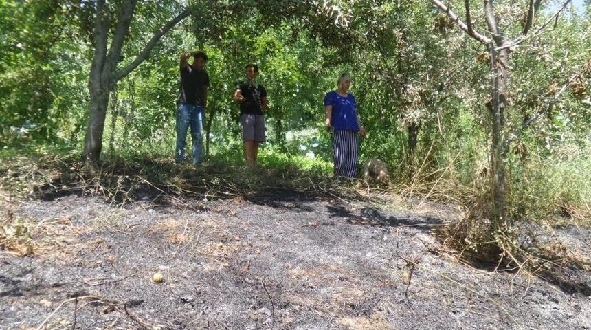 Sinop&rsquo;ta Ot Yangını