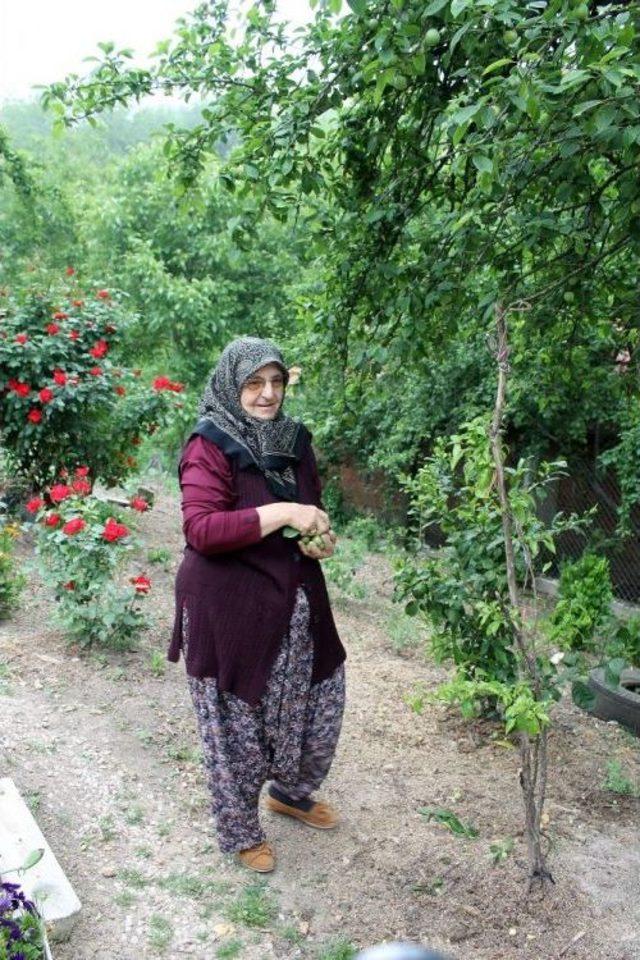 “bugüne Kadar Benim Evladımdı Şimdi Türkiye’nin Evladı Oldu”