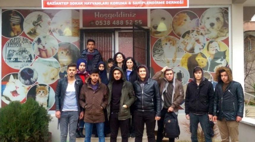 &Uuml;niversite &Ouml;ğrencilerinden Sokak Hayvanlarına Yardım Eli