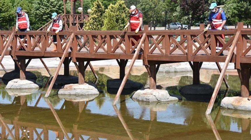 Kocasinan&rsquo;da, Huzurlu Bir Yaz İ&ccedil;in Haşere İle M&uuml;cadele Aralıksız S&uuml;r&uuml;yor