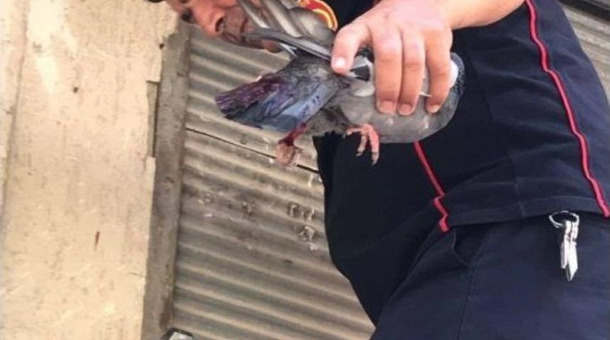 Kepenge Sıkışan G&uuml;vercin Kurtarıldı