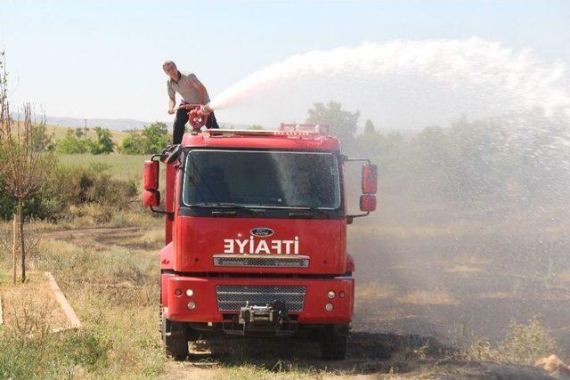 Sigara İzmariti 80 Dönüm Buğdayı Kül Etti