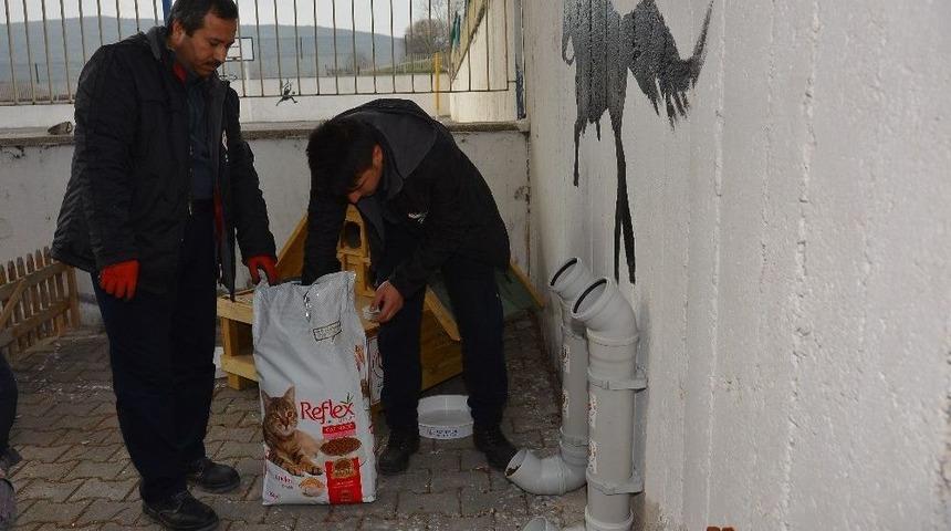 Gaziosmanpaşa Anadolu Lisesi&rsquo;ne Kedi Evi