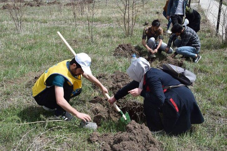 Kars’da Fidan Dikimi Yapıldı G4