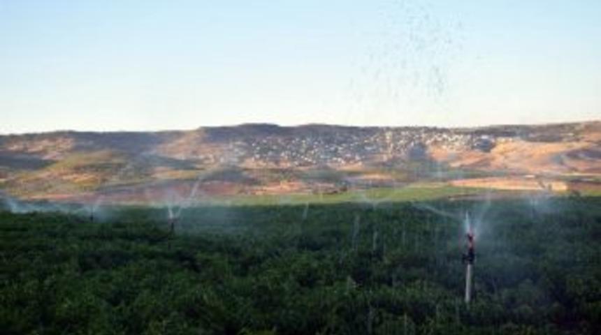 &ldquo;toprağı Suyla Buluşturuyoruz&rdquo; Projesi Hayata Ge&ccedil;iyor