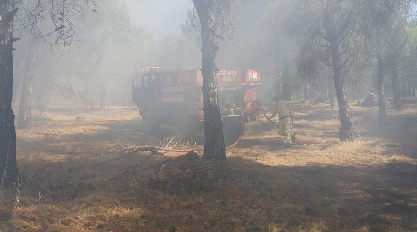 Gaziantep&rsquo;te Orman Yangını