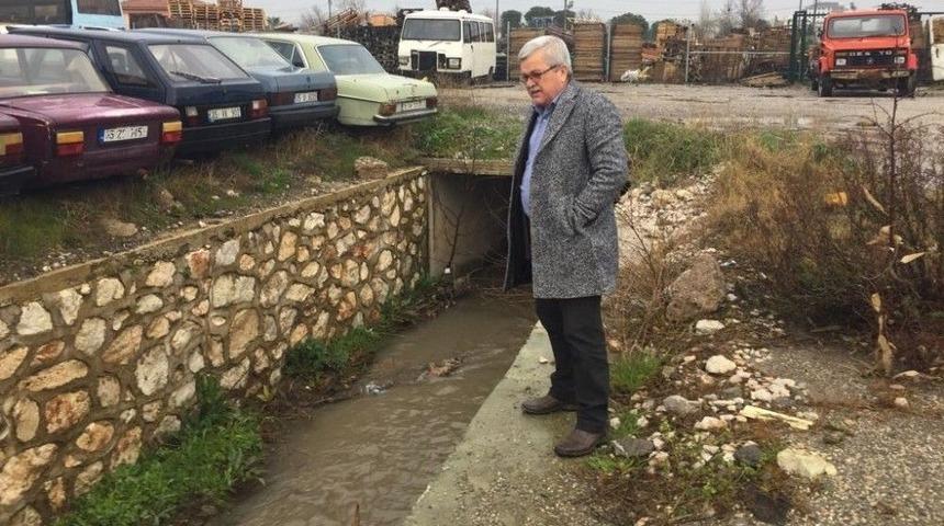 Safran &Ccedil;ayında &Ccedil;evre Katliamı Devam Ediyor