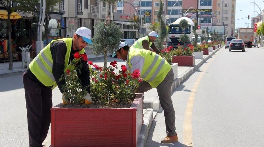 İki Nisan Caddesi &Ccedil;i&ccedil;eklerle S&uuml;slendi
