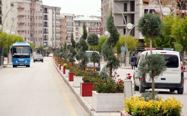 İki Nisan Caddesi Çiçeklerle Süslendi