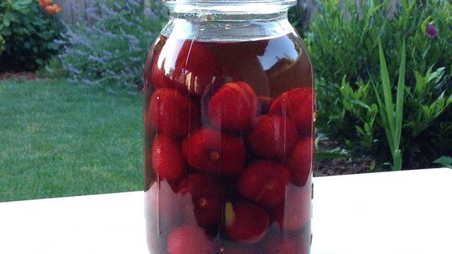 Vişne Kompostosu Konservesi