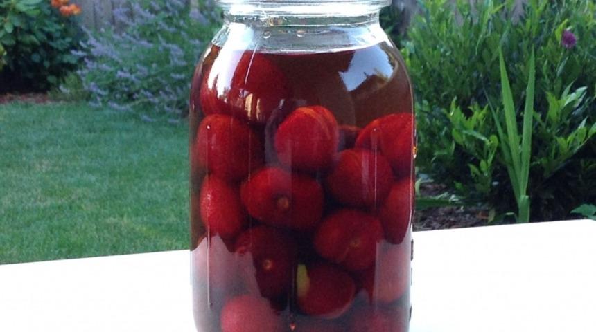 Vişne Kompostosu Konservesi