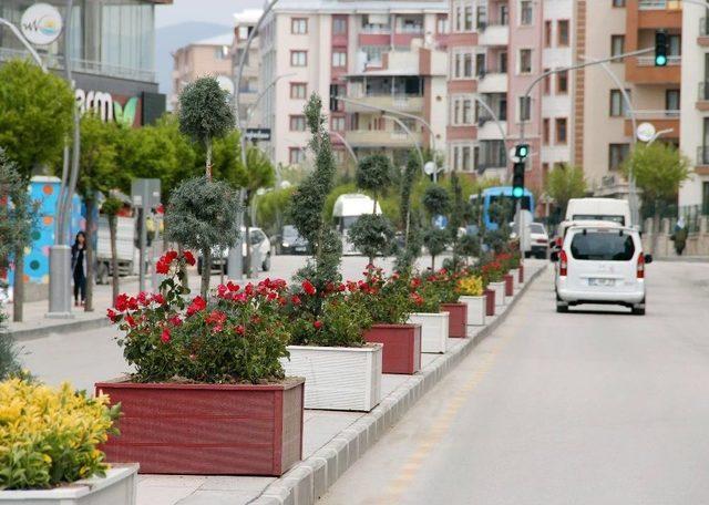 İki Nisan Caddesi Çiçeklerle Süslendi