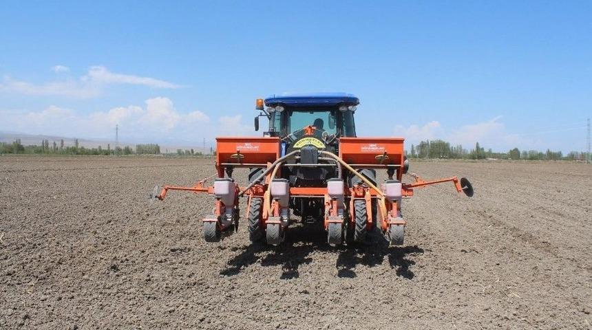 Iğdır&rsquo;da Pamuk Ekimi