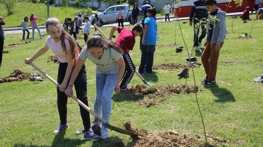 Camili&rsquo;de Bin 500 Ağa&ccedil; Dikilecek