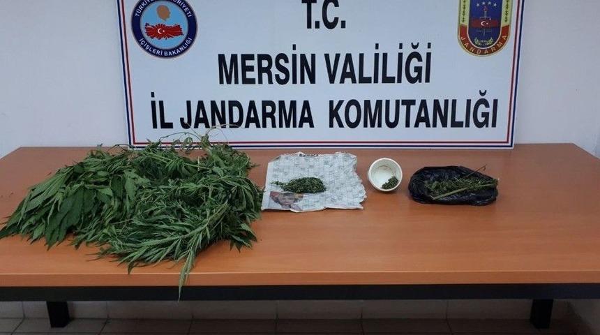 Mersin&rsquo;de Uyuşturucu Operasyonu: 3 Kişi Yakalandı