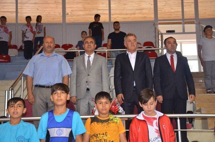 Halter Minikler Türkiye Şampiyonası Bilecik’te Başladı G1