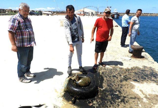 Dalgıçlar, Saros Körfezi’nde Dip Temizliği Yaptı