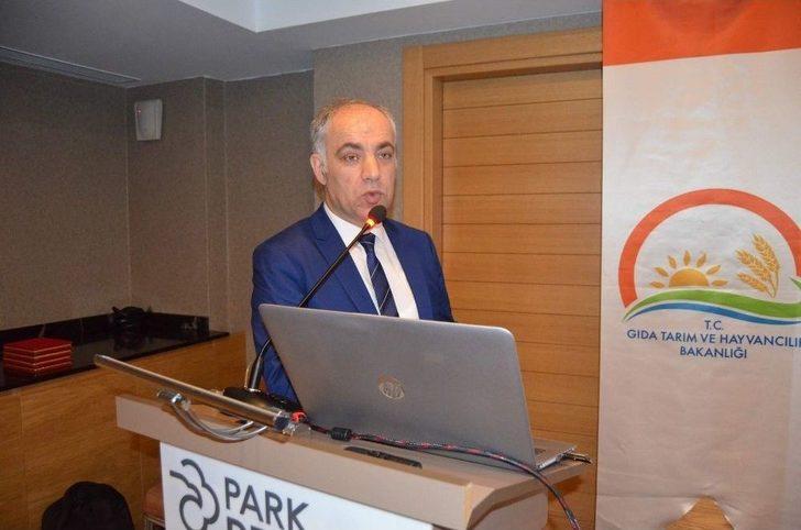 Hamsiyi Konuşmak İçin Dünyanın Öbür Ucundan Geldi G2