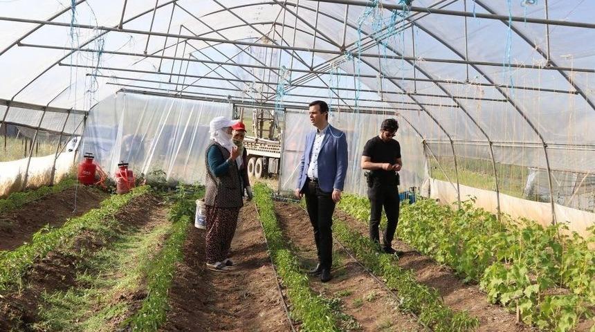 Kaymakam Vardar, Seraları İnceledi