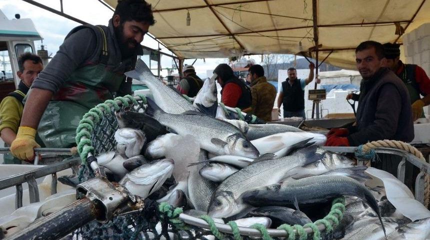 Balık&ccedil;ılar Havuz Balığına Y&ouml;neldi