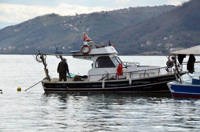 Balık&ccedil;ılar Havuz Balığına Y&ouml;neldi 1