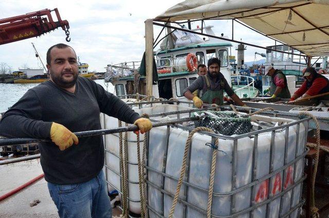 Balık&ccedil;ılar Havuz Balığına Y&ouml;neldi 2