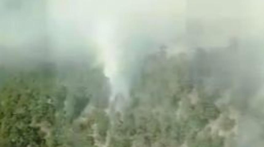 Kahramanmaraş’taki Orman Yangını Kontrol Altına Alındı