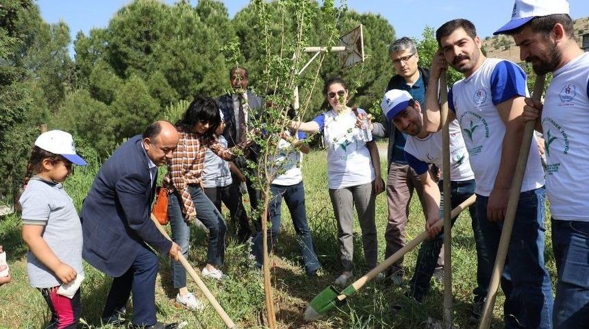 Tarzan&rsquo;ın Torunları &Ccedil;ekirdek Topluyor