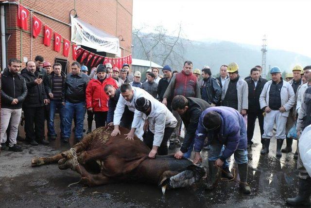 Madenciler, Mehmetçikler İçin Kur’an Okutup Kurban Kesti