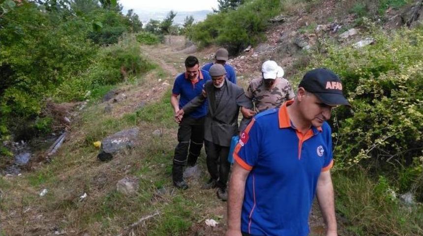 Yaşlı Adam Ormanda Sağ Olarak Bulundu
