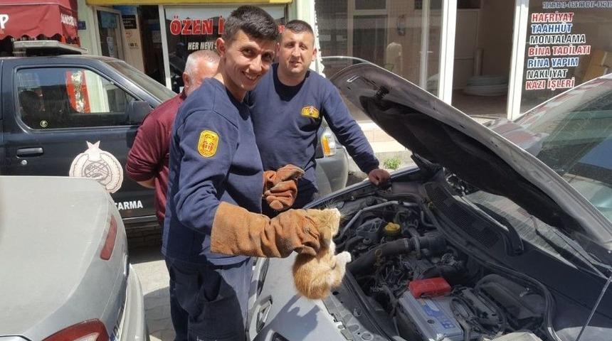 Otomobilin Motoruna Sıkışan Kediyi İtfaiye Kurtardı